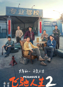 久久久精品视频成人